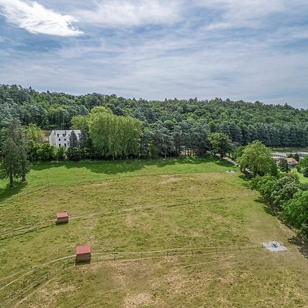1 - Grand Appartement Spacieux Dans Un Chateau Du 17Eme Siecle, A 15Min De Lyon Vourles エクステリア 写真