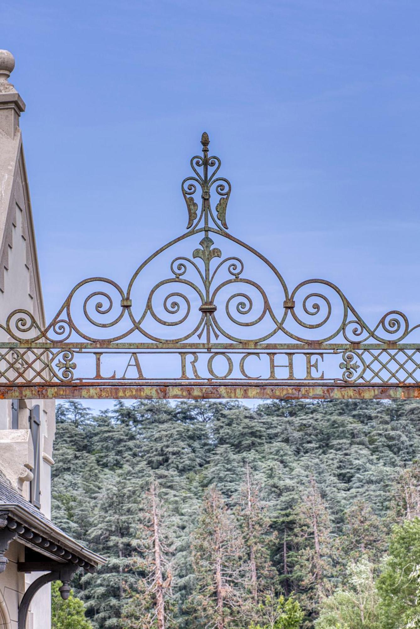 1 - Grand Appartement Spacieux Dans Un Chateau Du 17Eme Siecle, A 15Min De Lyon Vourles エクステリア 写真