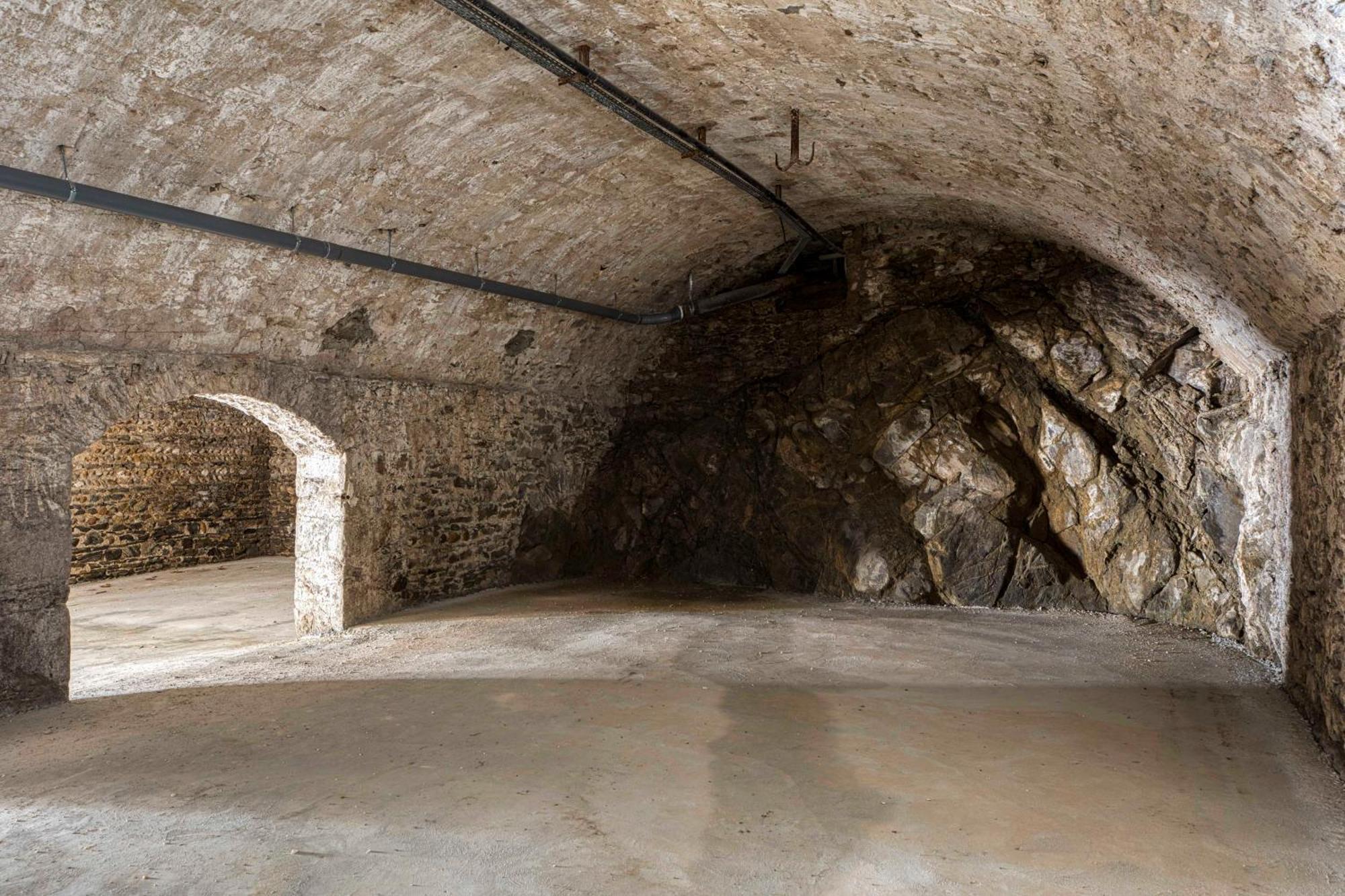 1 - Grand Appartement Spacieux Dans Un Chateau Du 17Eme Siecle, A 15Min De Lyon Vourles エクステリア 写真