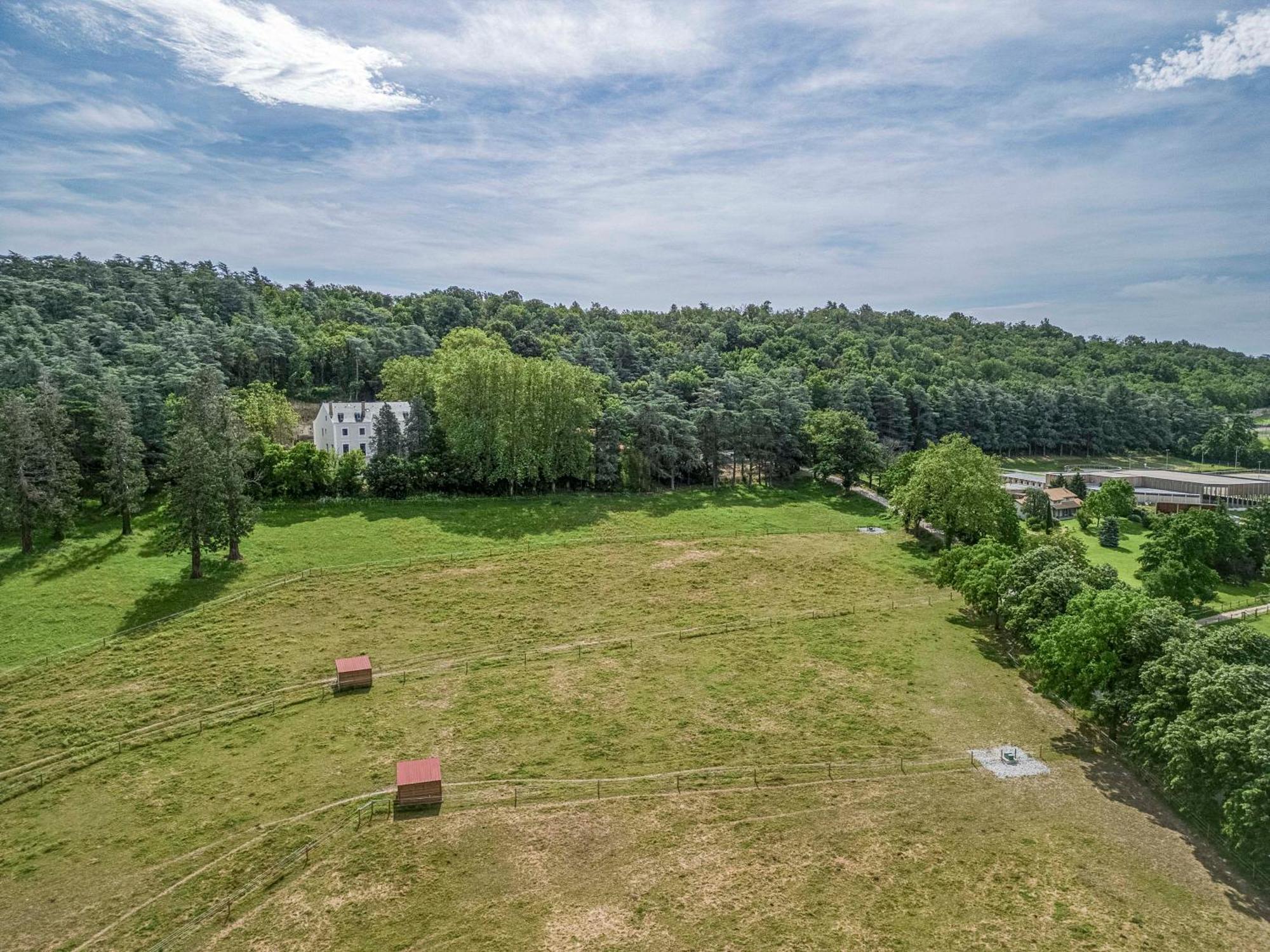 1 - Grand Appartement Spacieux Dans Un Chateau Du 17Eme Siecle, A 15Min De Lyon Vourles エクステリア 写真