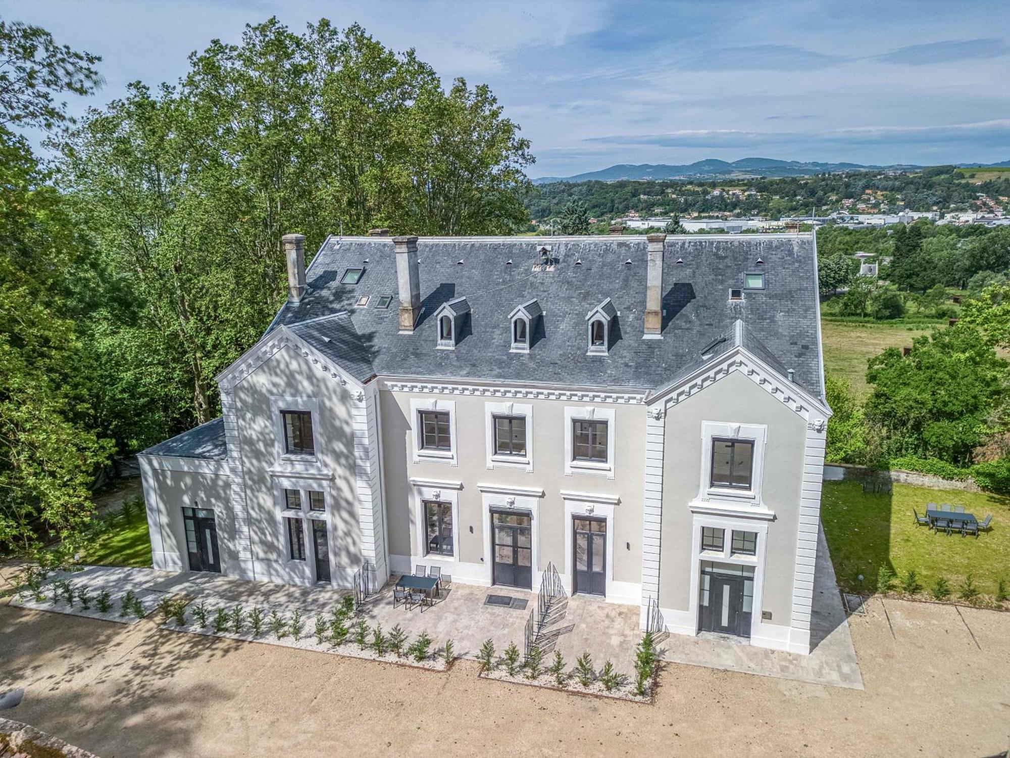 1 - Grand Appartement Spacieux Dans Un Chateau Du 17Eme Siecle, A 15Min De Lyon Vourles エクステリア 写真