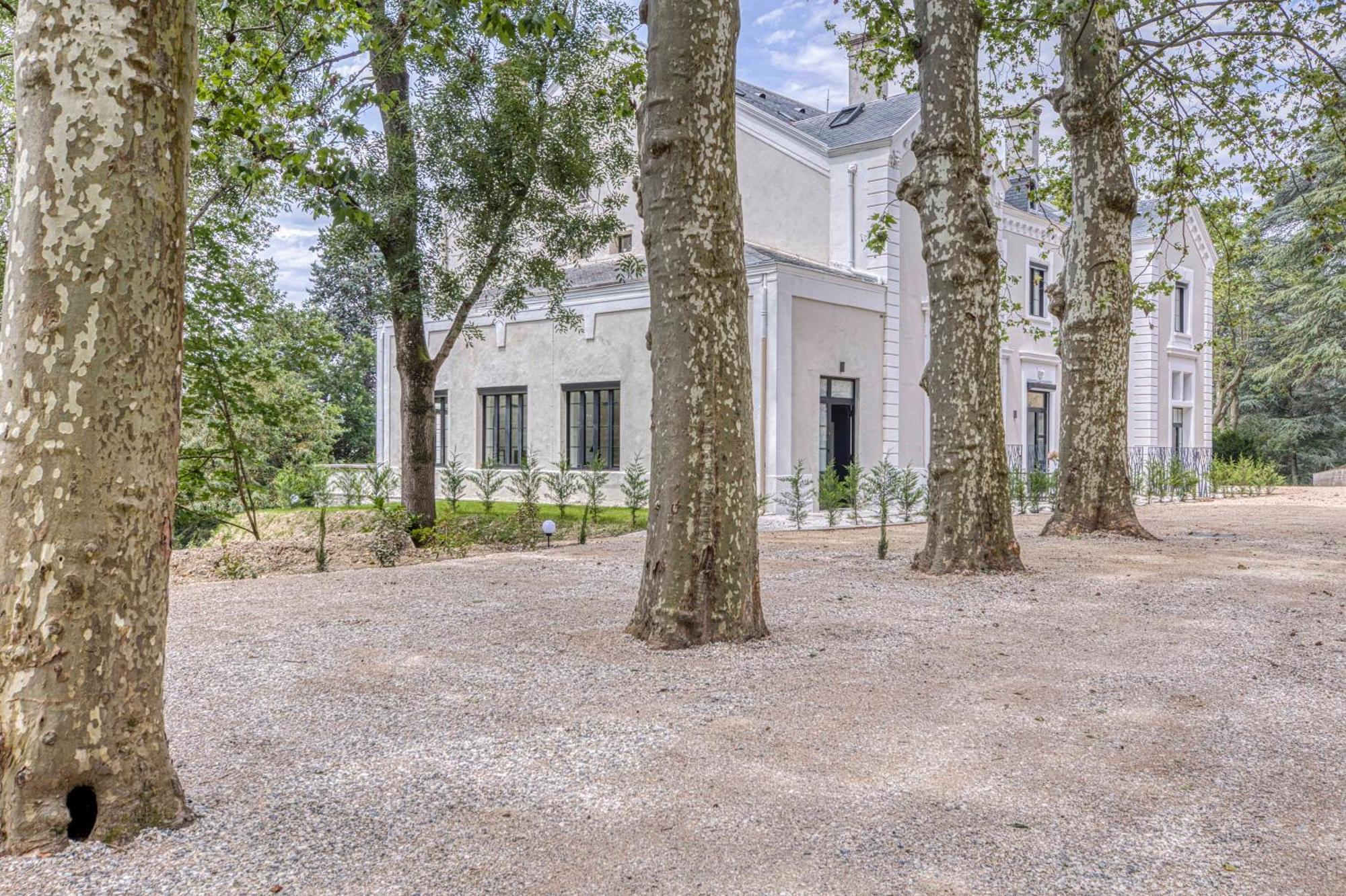 1 - Grand Appartement Spacieux Dans Un Chateau Du 17Eme Siecle, A 15Min De Lyon Vourles エクステリア 写真