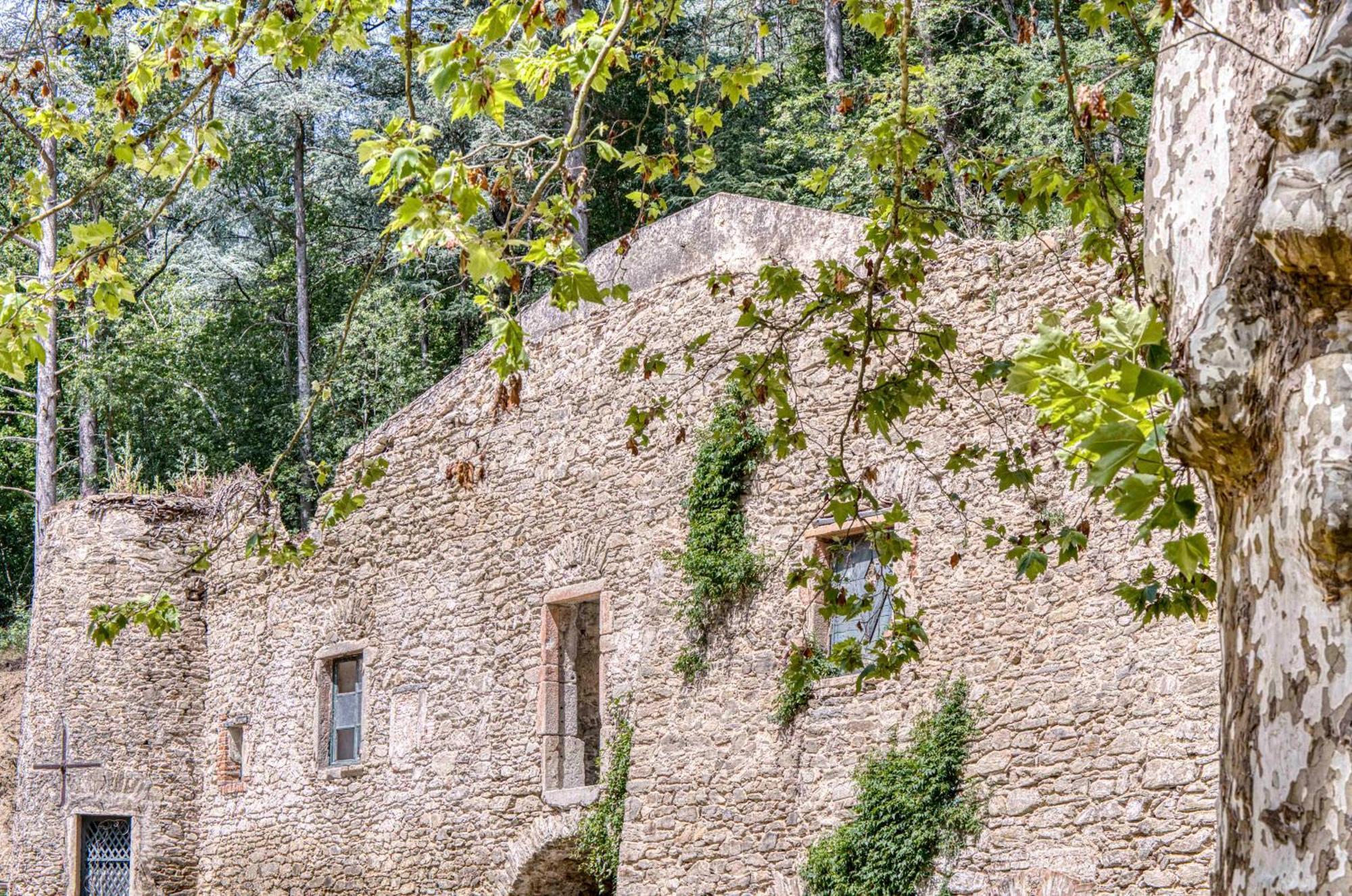1 - Grand Appartement Spacieux Dans Un Chateau Du 17Eme Siecle, A 15Min De Lyon Vourles エクステリア 写真