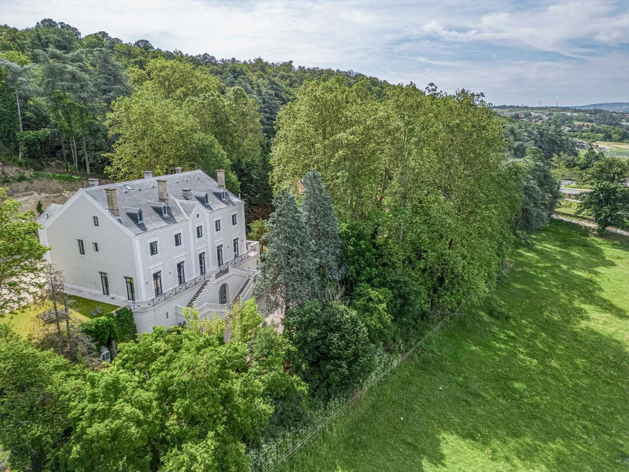 1 - Grand Appartement Spacieux Dans Un Chateau Du 17Eme Siecle, A 15Min De Lyon Vourles エクステリア 写真