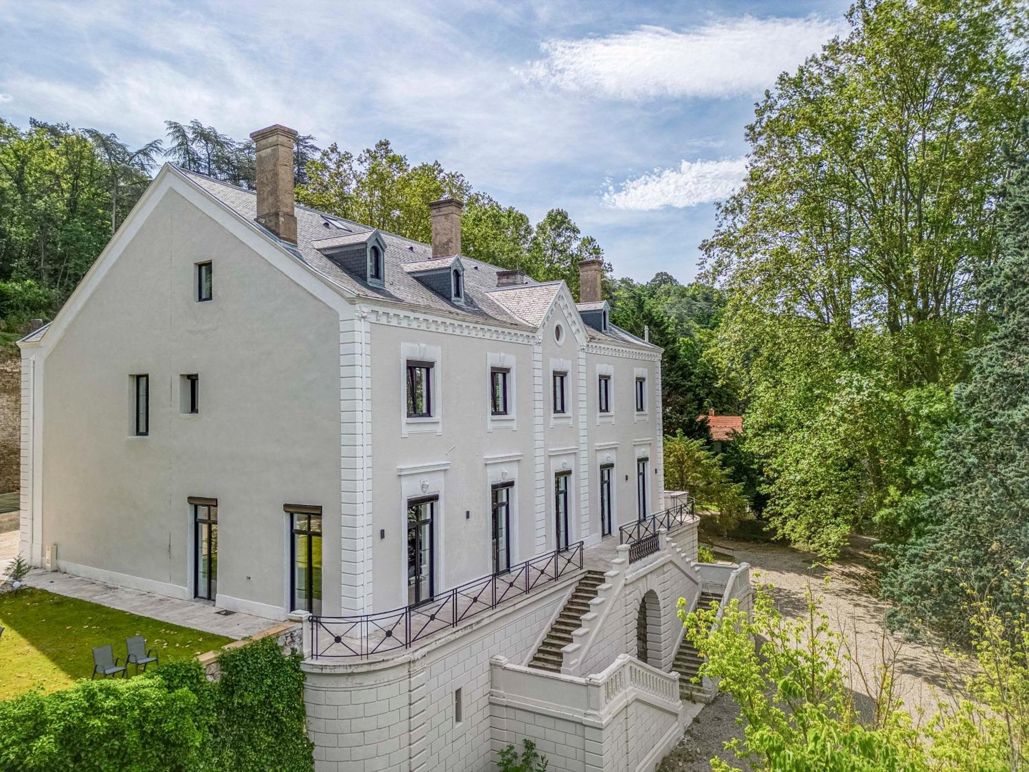 1 - Grand Appartement Spacieux Dans Un Chateau Du 17Eme Siecle, A 15Min De Lyon Vourles エクステリア 写真