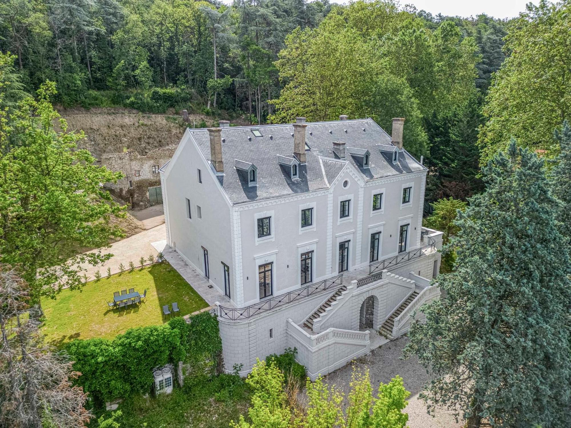 1 - Grand Appartement Spacieux Dans Un Chateau Du 17Eme Siecle, A 15Min De Lyon Vourles エクステリア 写真