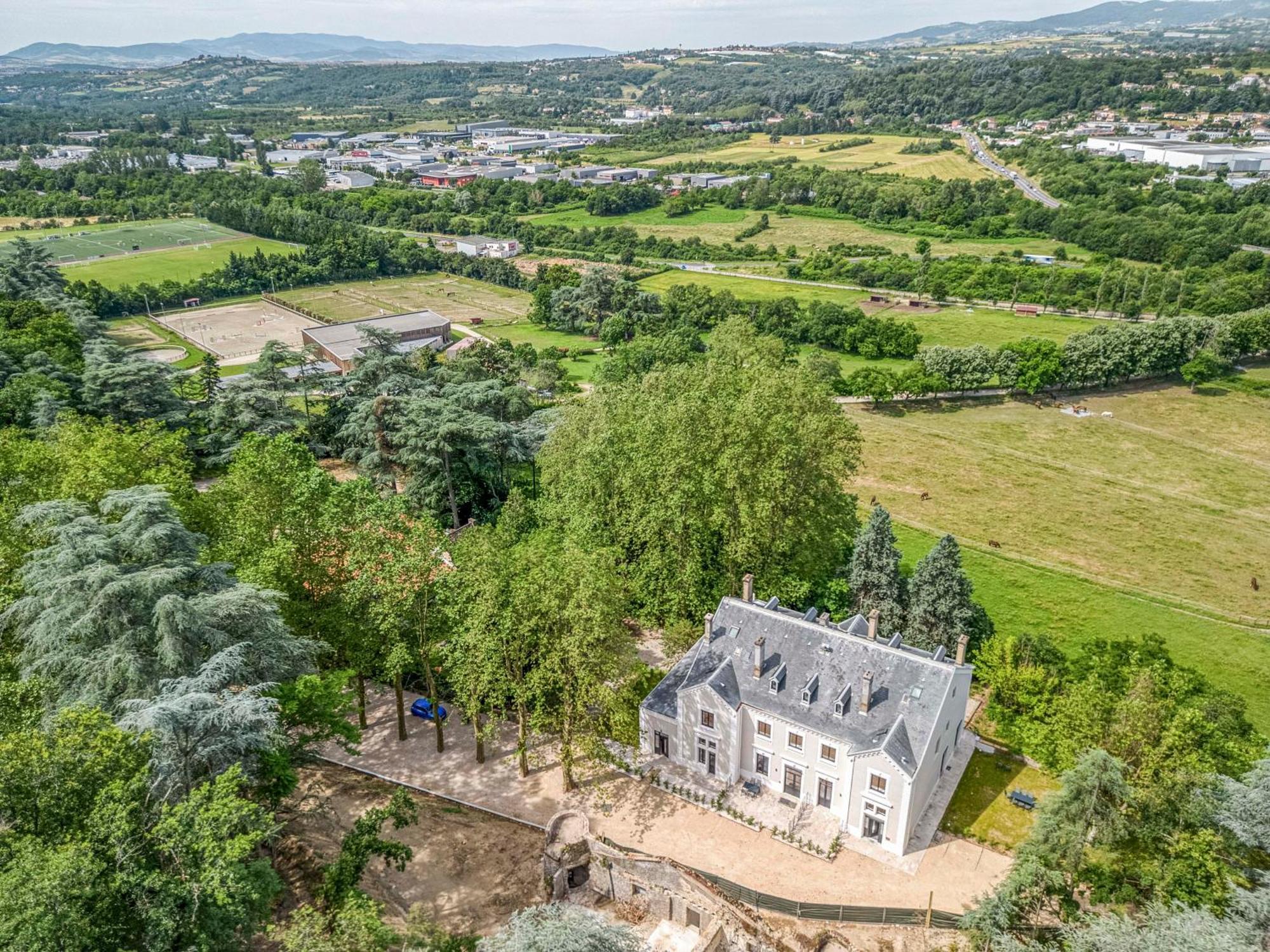 1 - Grand Appartement Spacieux Dans Un Chateau Du 17Eme Siecle, A 15Min De Lyon Vourles エクステリア 写真